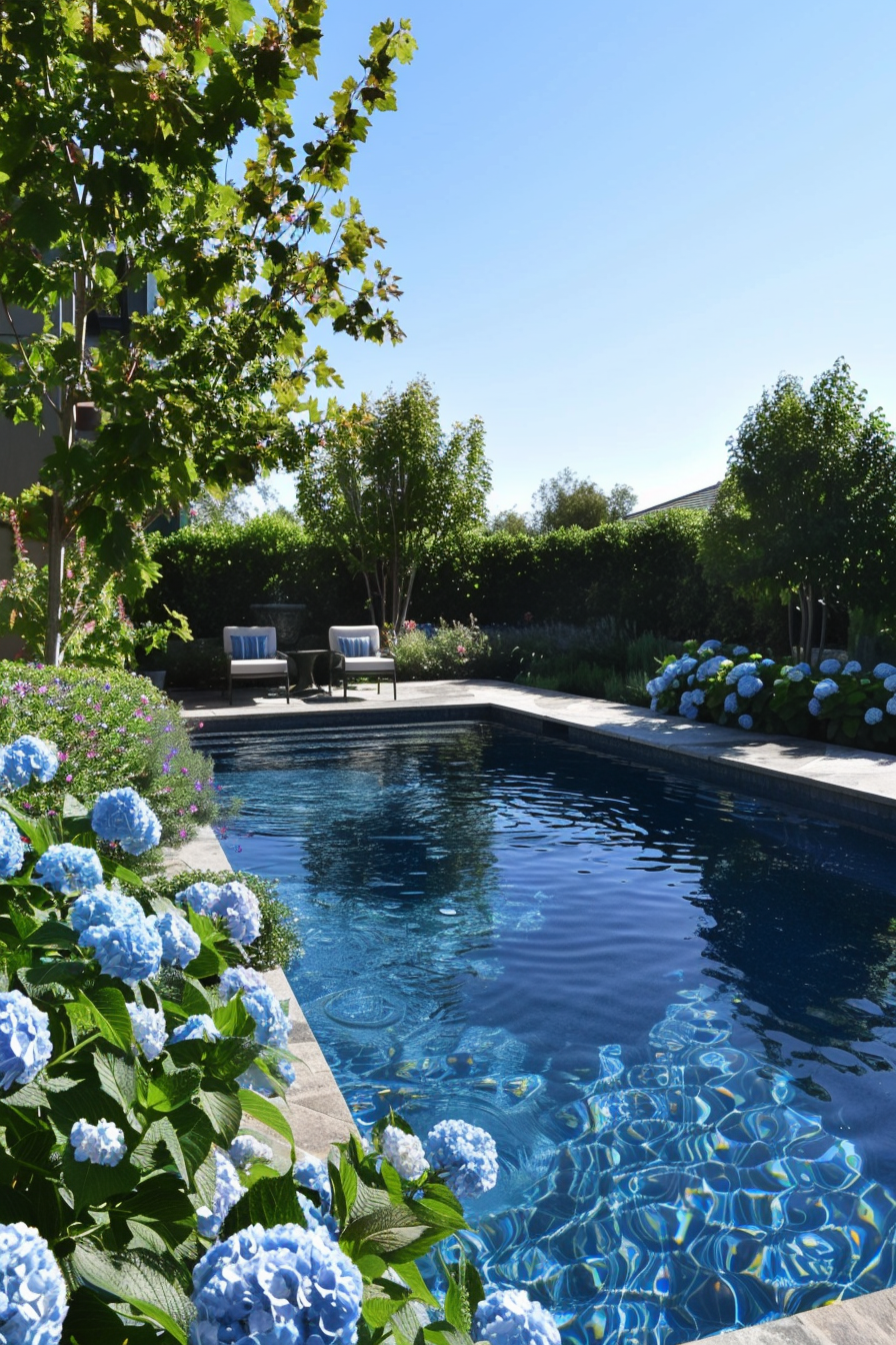 Beautiful backyard view. Sparkling quartz pool with flowering hydrangea borders.