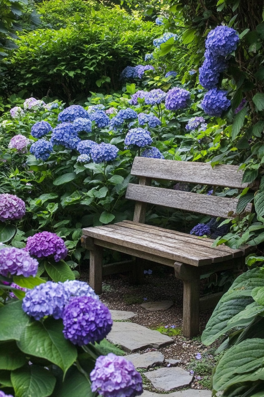 Backyard garden retreat. Oak bench amidst lush hydrangeas.