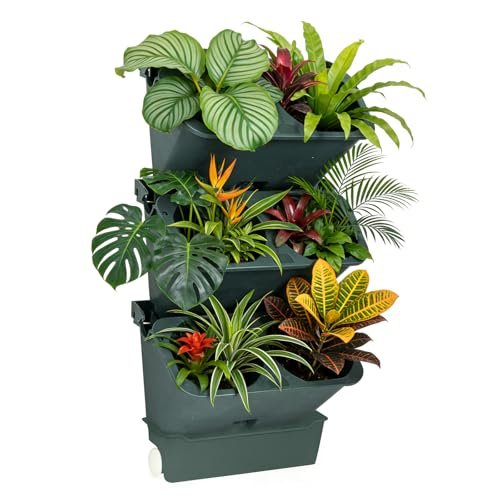 3-Tiers Vertical Wall-Mounted Planter with 6 Pots Vertical Garden Living Wall Planter Indoor Self-Watering Soil-Water Separation Stackable Plastic Planter for Herb Vegetable Flower Succulent (Green)