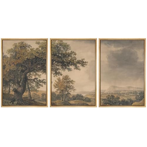 MUDECOR Framed Wall Art Print Set Vintage Landscape Rustic Tree and Mountain View Illustrations Decorative Colorful for Living Room, Bedroom, Office - 24"x36"x3 Natural