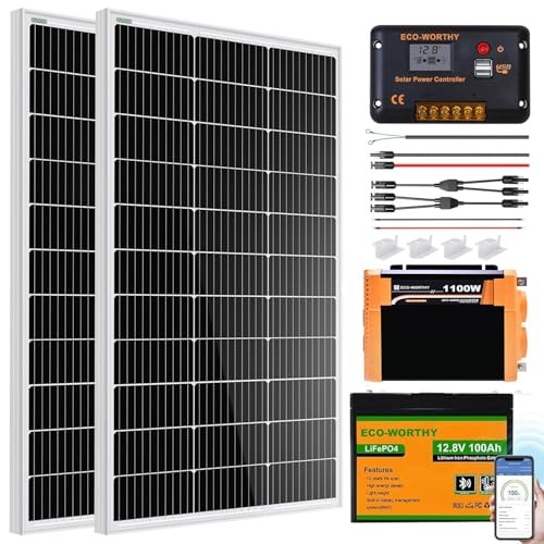 ECO-WORTHY 200 Watt 12V Complete Solar Panel Starter Kit for RV Off Grid with Battery and Inverter: 2pcs 100W Solar Panel + 30A Charge Controller + 100Ah Lithium Battery + 1100W Premium Solar Inverter