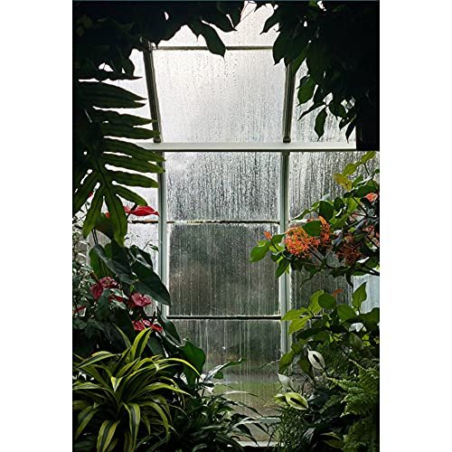 YongFoto 3x5ft Greenhouse Flower Room Backdrop Spring Glass Flowers Green Plants Interior Garden Photography Background Children Birthday Party Decor Adults Artistic Portrait Photo Props Polyester