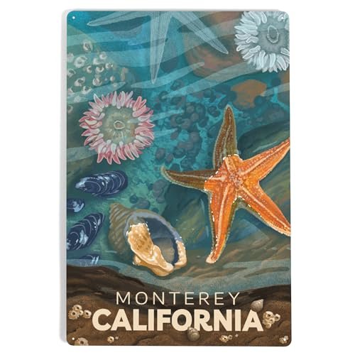 Lantern Press 12x18 Inch Metal Sign, Monterey, California, Tiny World Huge Wonders, Coastal Series, Starfish and Shells